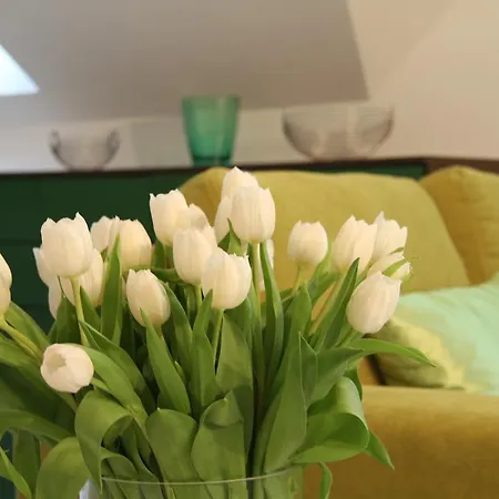 Apartament Koeln-kerpen Boutique-ferienwohnungen Angela & Maurizio