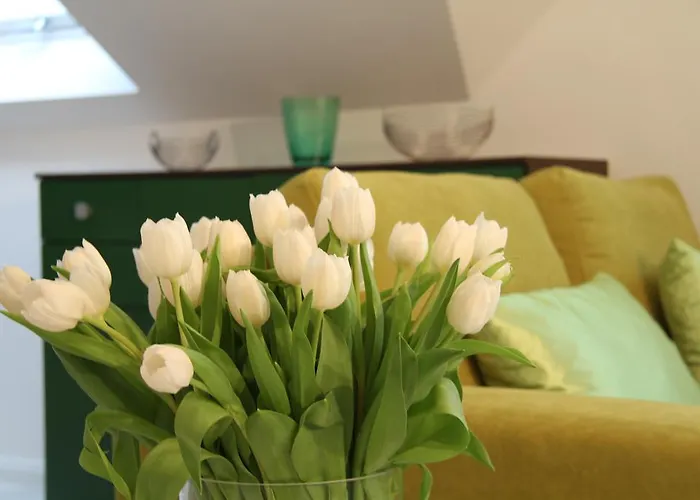 Daire Koeln-kerpen Boutique-ferienwohnungen Angela & Maurizio